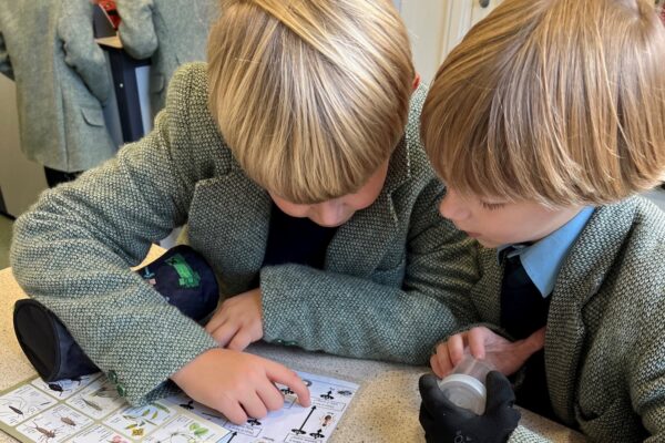 students looking for bugs