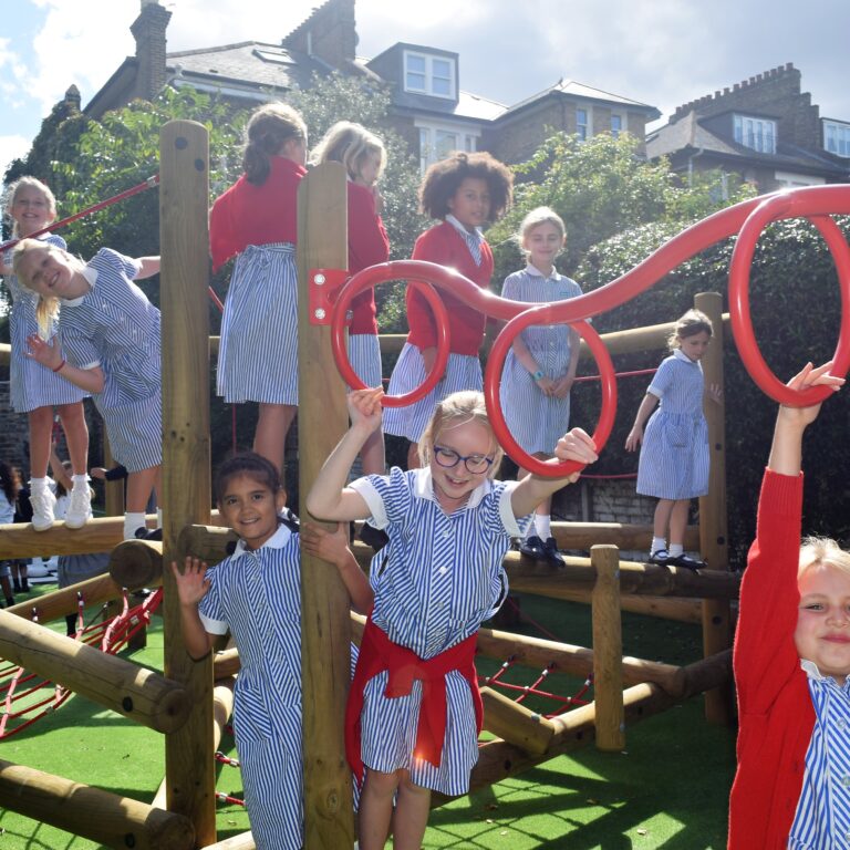jungle gym girls