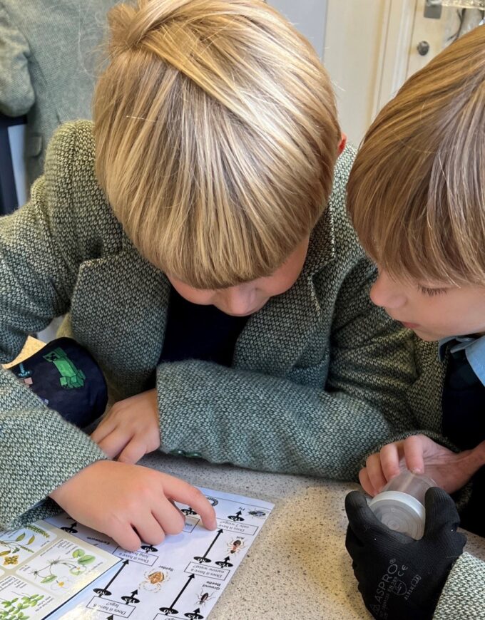 boys working together to find bugs