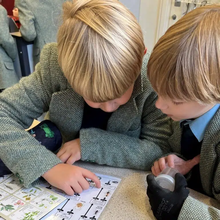 boys working together to find bugs